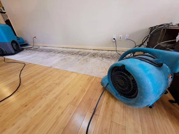Professional Water Damage Repair technician working in Bonney Lake, WA